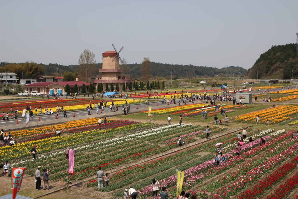 🏯 갓산토다 성터 이미지 10